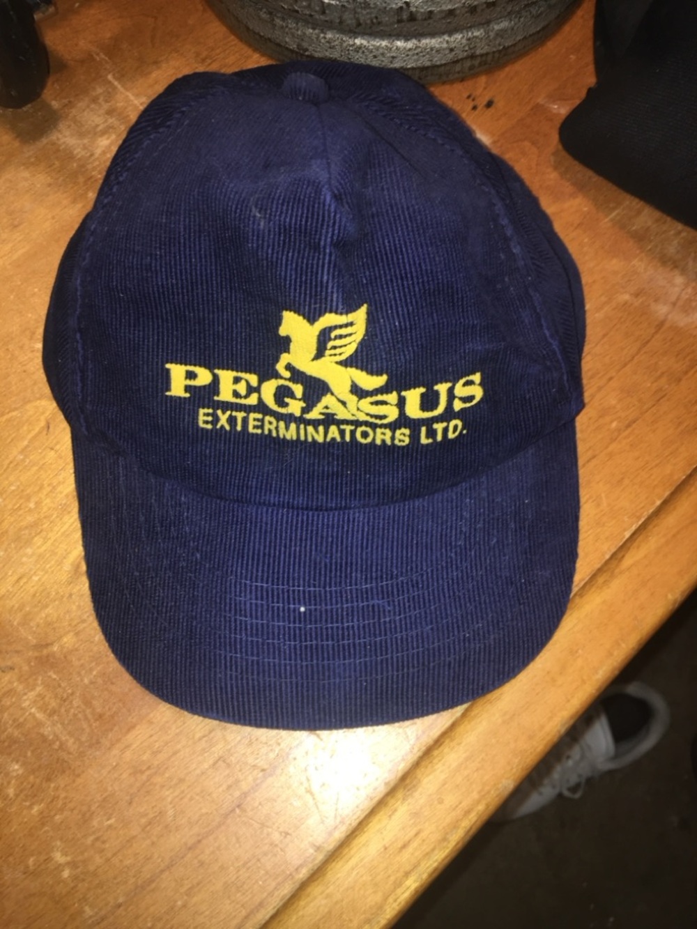 Vintage Pegasus SnapBack